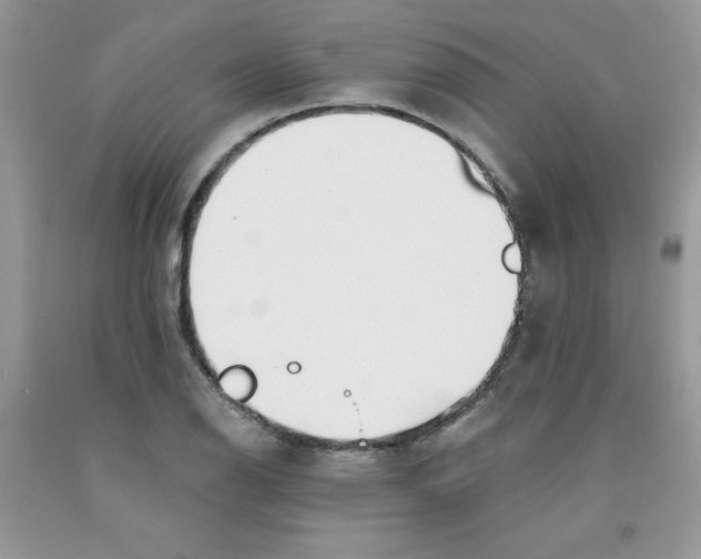 X0000091701126200709141054