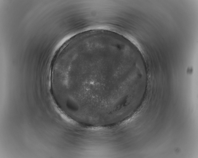 X0000091701127200709141054