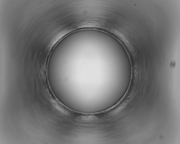 X0000091701129200709141054