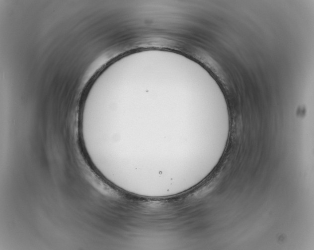 X0000091701130200709141054