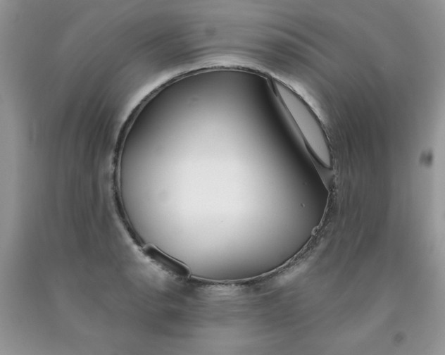 X0000091701134200709141054