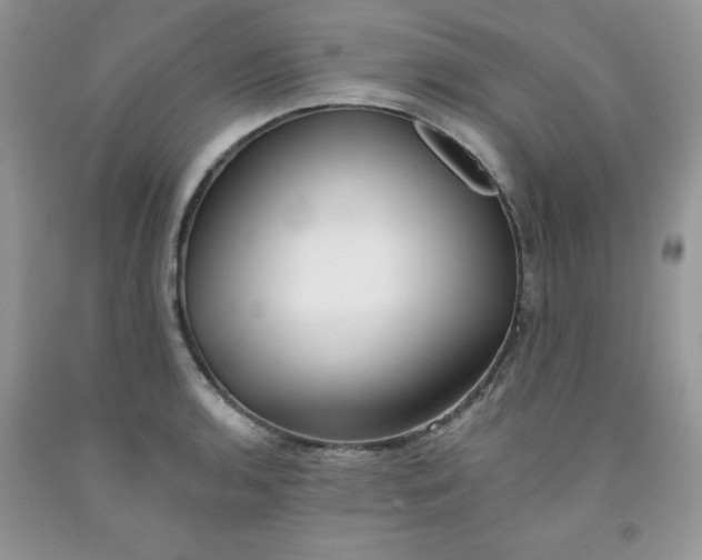 X0000091701136200709141054