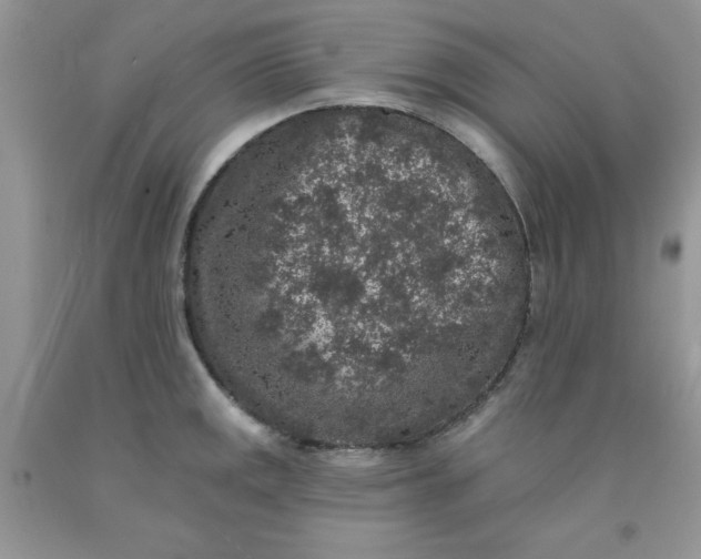 X0000091701141200709141054