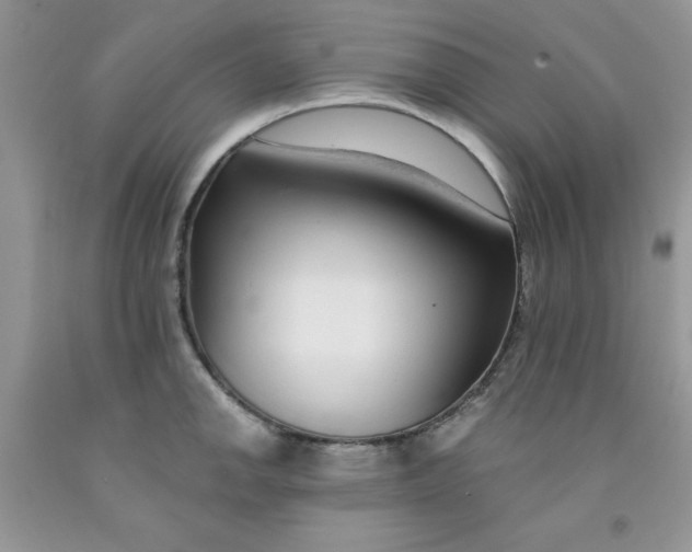 X0000091701142200709141054