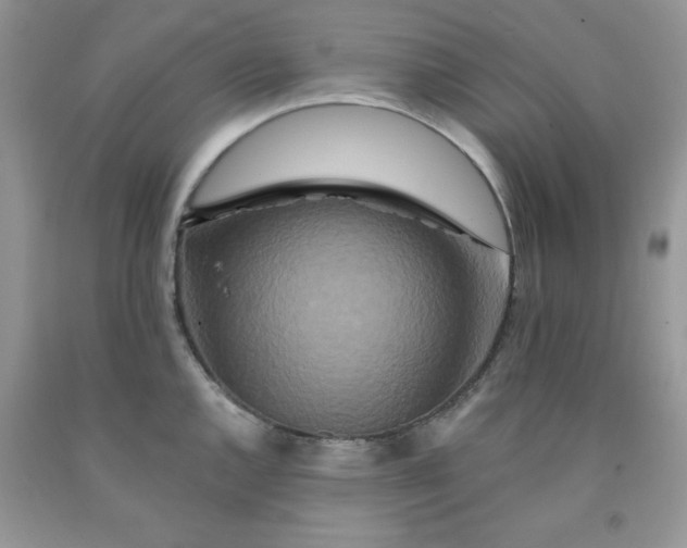 X0000091701144200709141054