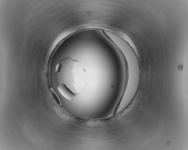 X0000091701146200709141054