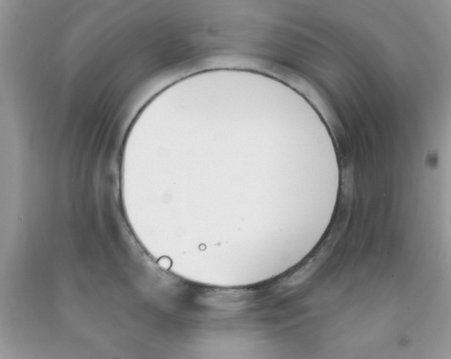 X0000091701150200709141054