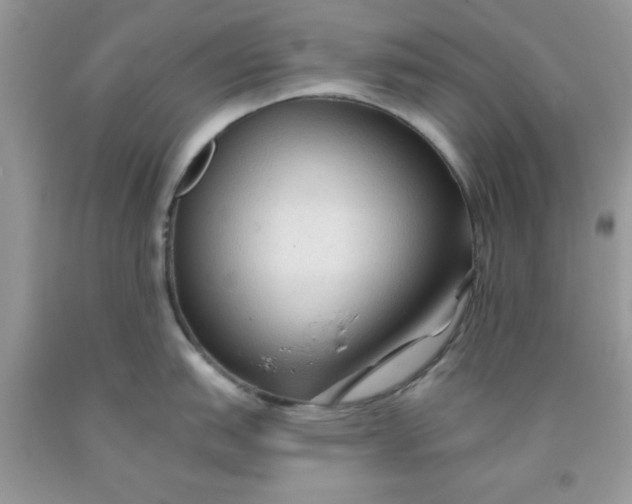 X0000091701151200709141054