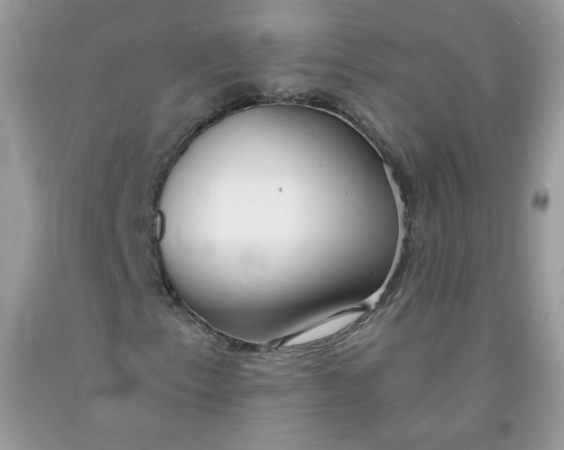 X0000091701153200709141053