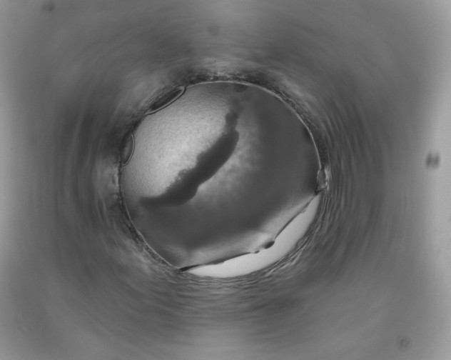 X0000091701155200709141053