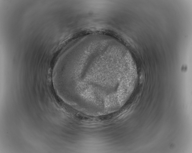 X0000091701156200709141053