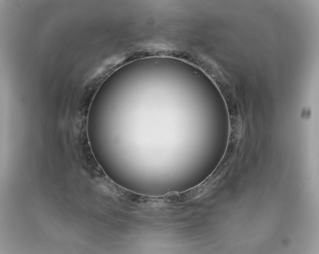 X0000091701157200709141053