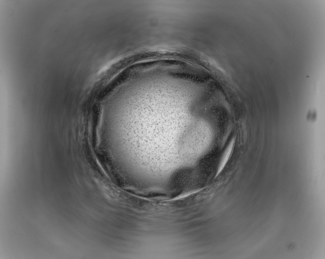 X0000091701158200709141053