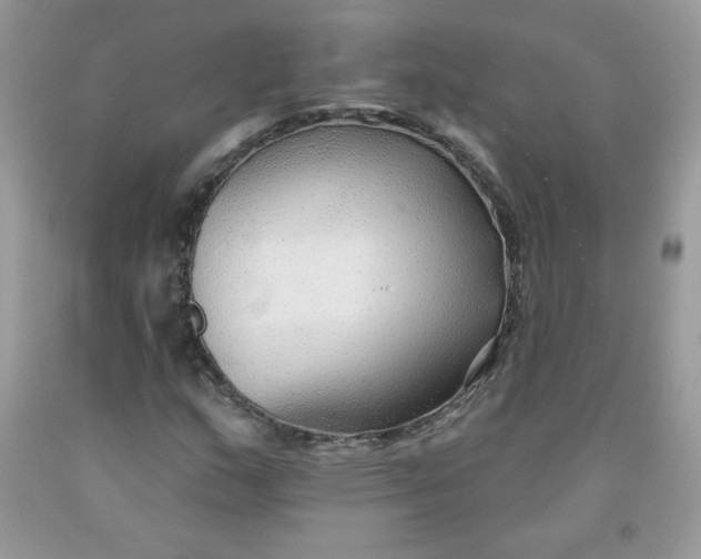 X0000091701159200709141053