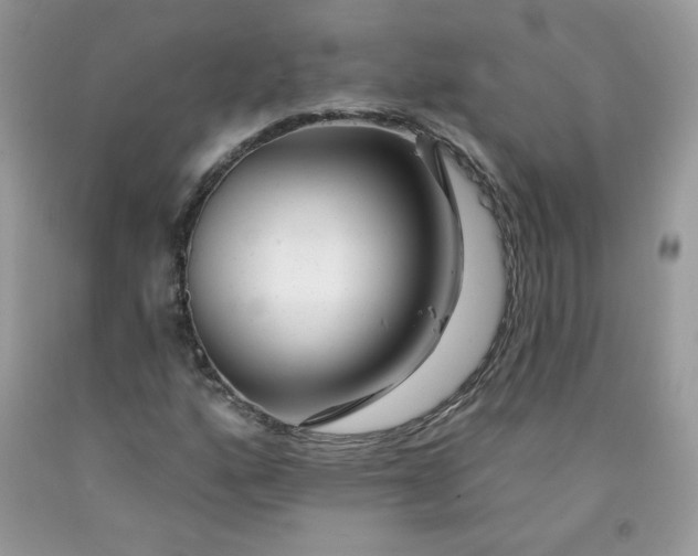 X0000091701160200709141053