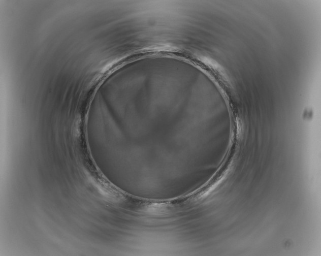 X0000091701161200709141053