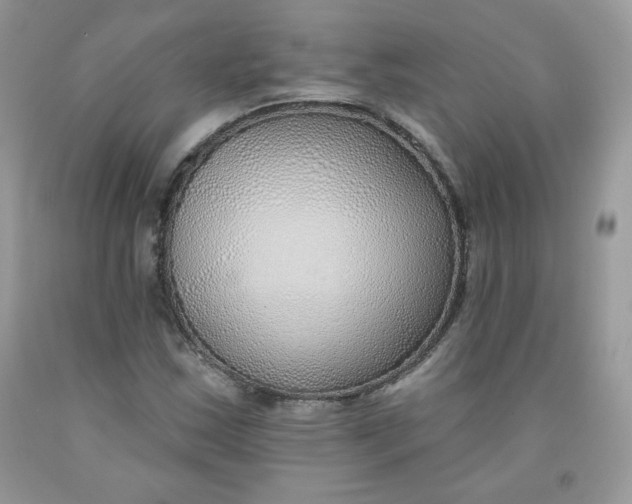 X0000091701163200709141053