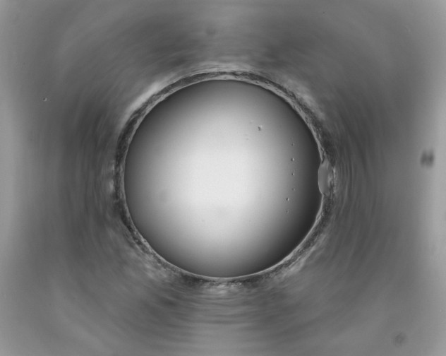 X0000091701165200709141053