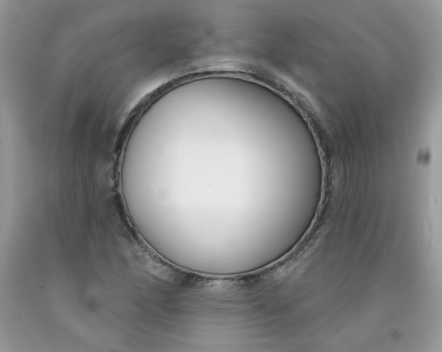 X0000091701166200709141053