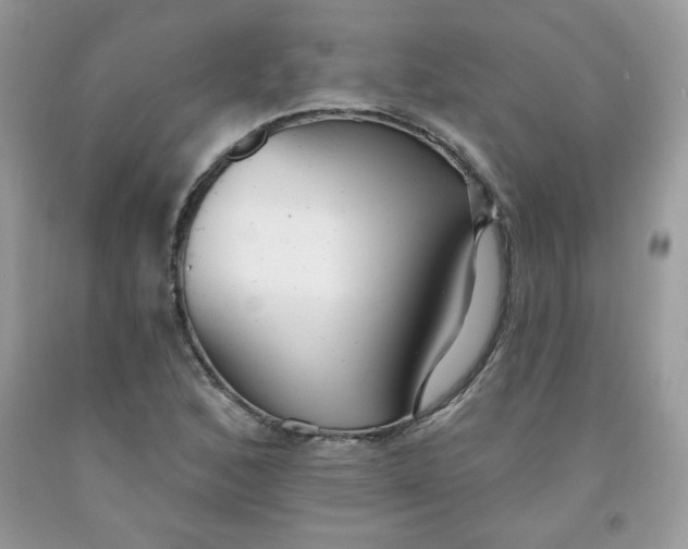 X0000091701168200709141053