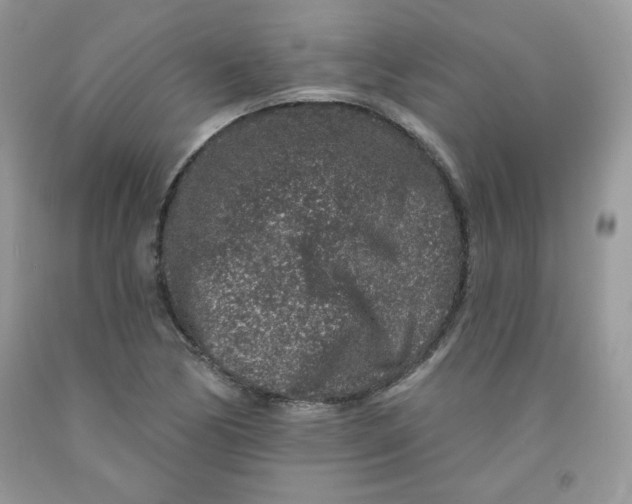 X0000091701170200709141053