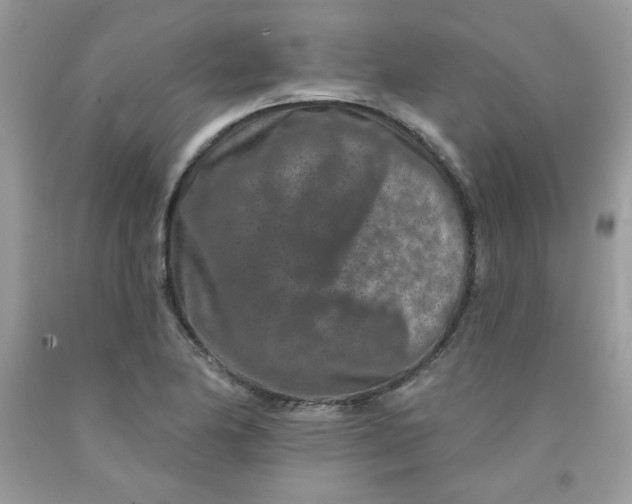 X0000091701174200709141053