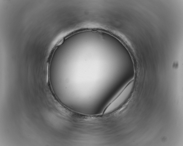 X0000091701175200709141053