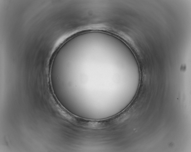 X0000091701176200709141053