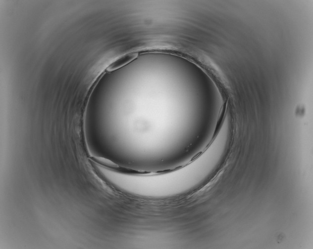 X0000091701177200709141053