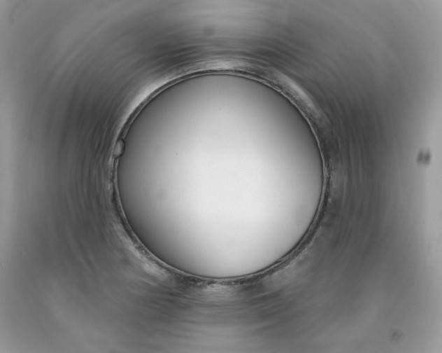 X0000091701178200709141053