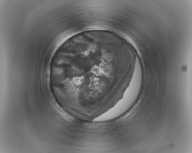 X0000091701179200709141053