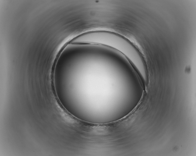 X0000091701181200709141053