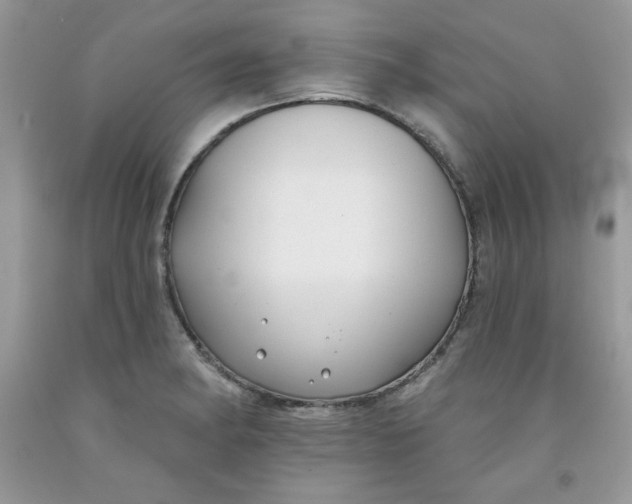 X0000091701182200709141053