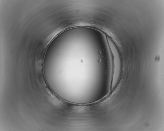 X0000091701185200709141053