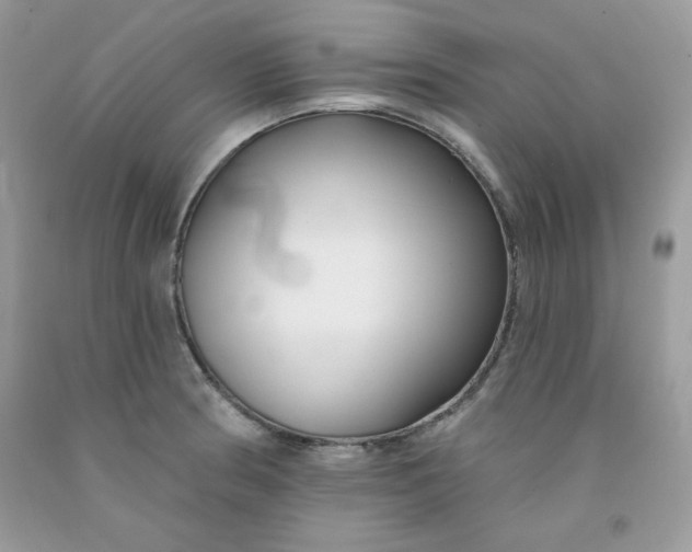 X0000091701186200709141053