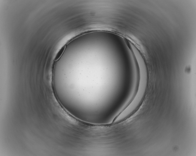 X0000091701188200709141053