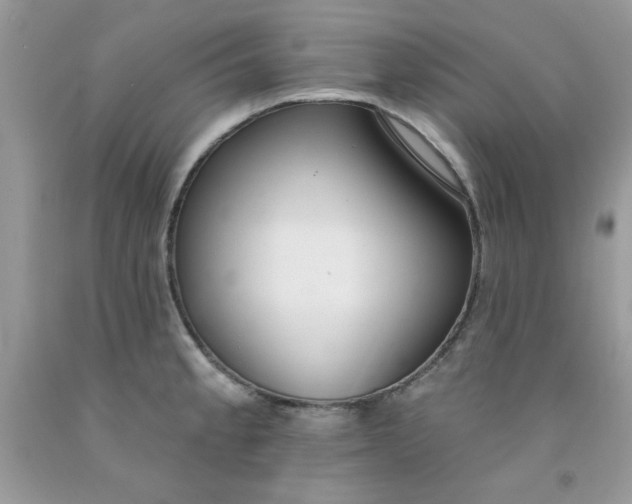 X0000091701189200709141053