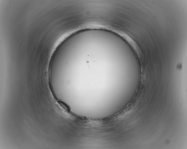 X0000091701191200709141053