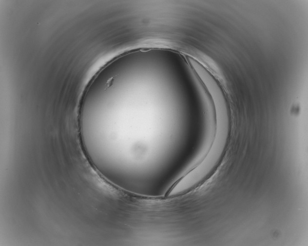 X0000091701192200709141053