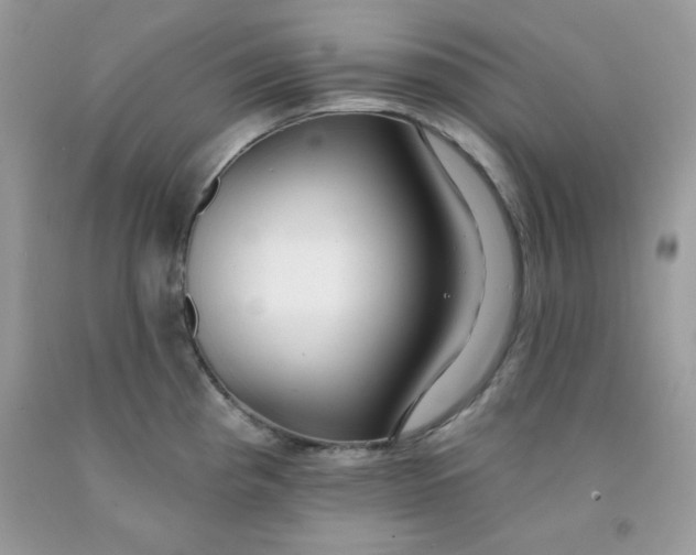 X0000091701193200709141053