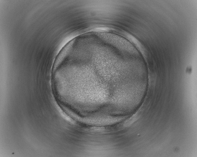 X0000091701194200709141053