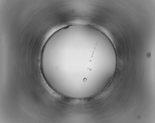 X0000091701195200709141053