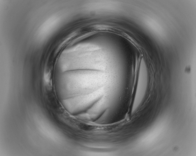 X0000091701198200709141053