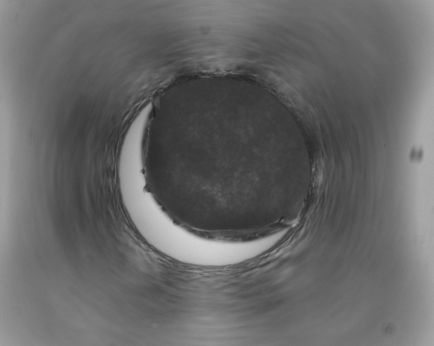 X0000091701202200709141052