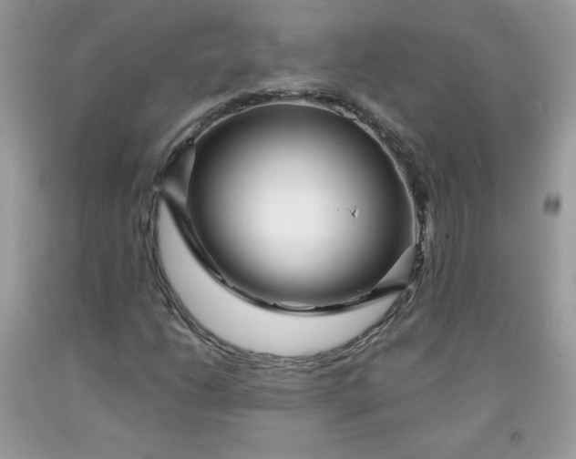 X0000091701206200709141052