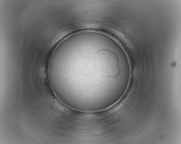 X0000091701209200709141052