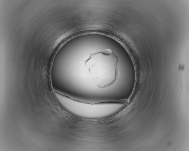 X0000091701210200709141052