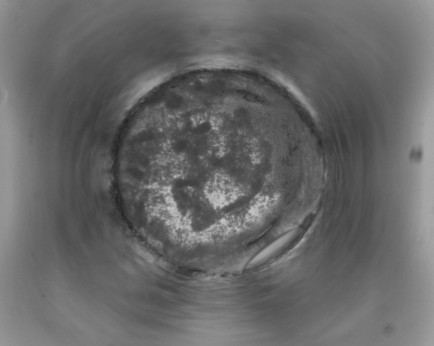 X0000091701213200709141052