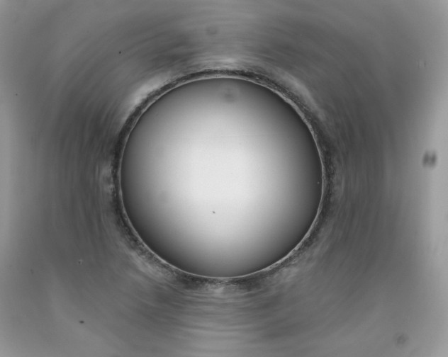 X0000091701218200709141053