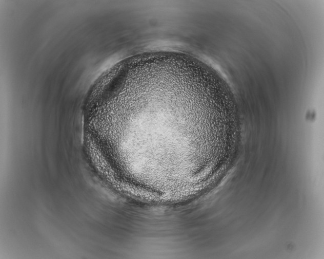 X0000091701219200709141053